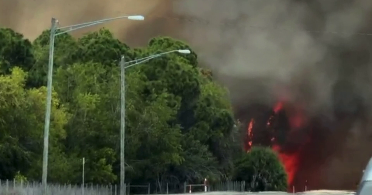 Campfire sparks Cape Coral brush fire, neighbors upset over burn ban breach | Lee County