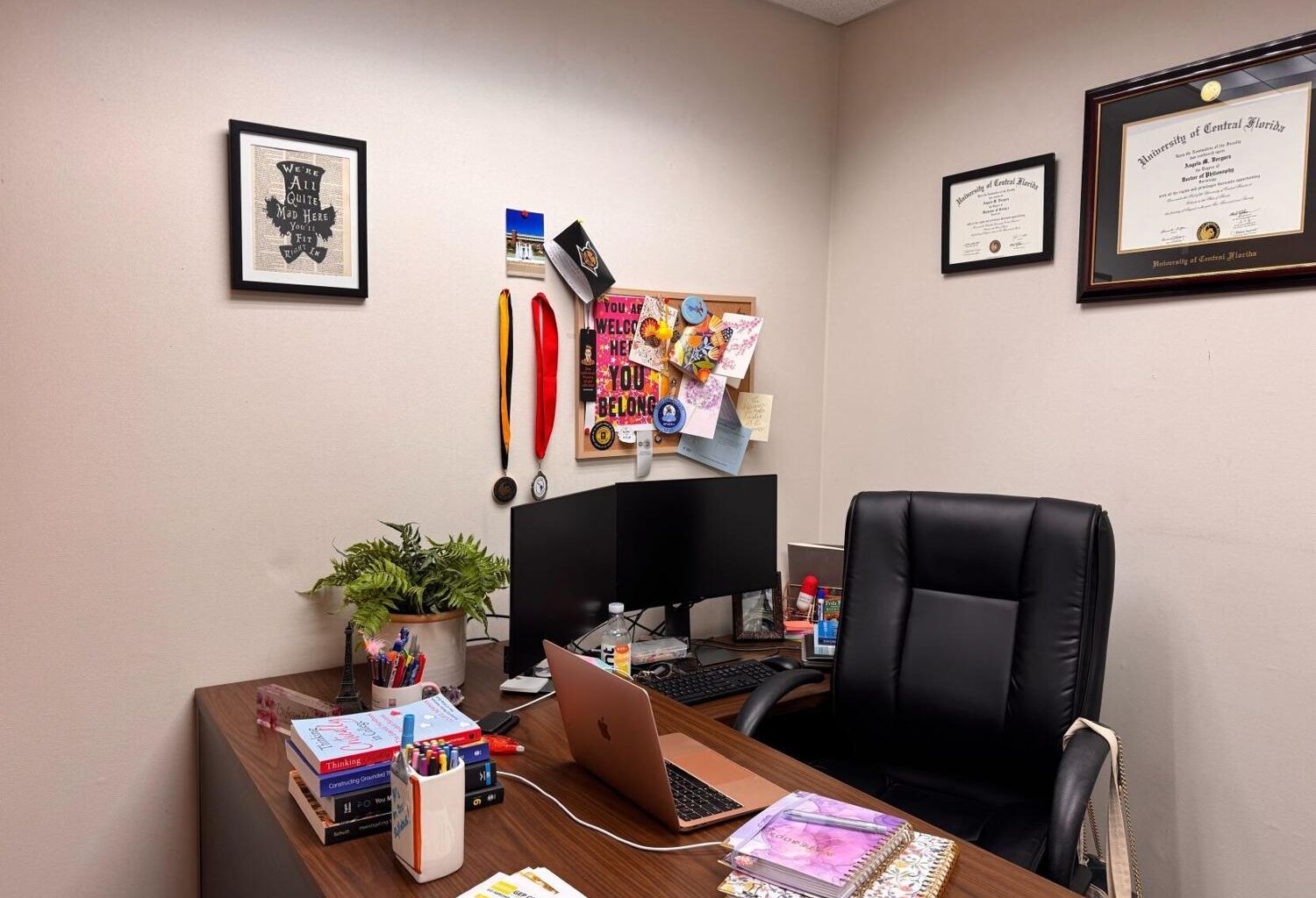 Sociology department to offer first program certificate | News