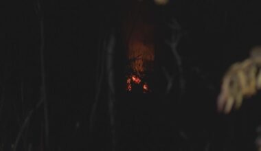 Hot spots cause concern for Cape Coral neighbors | News