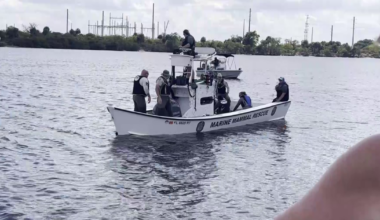 Manatee rescue mission captivates North Fort Myers residents | Lee County