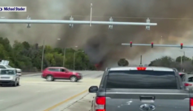 Businesses near Cape Coral's Yellow Fever Creek close amid fire scare | Lee County