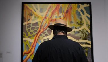 GALLERY: Art gallery opens Master's of Fine Arts Exhibition 'The Rooms We Build' | Multimedia