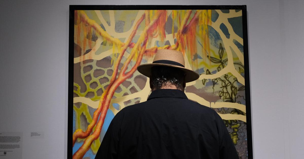 GALLERY: Art gallery opens Master's of Fine Arts Exhibition 'The Rooms We Build' | Multimedia