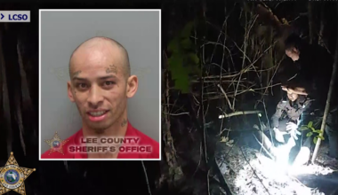 San Carlos Park car theft leads to high-speed chase and arrest | Lee County