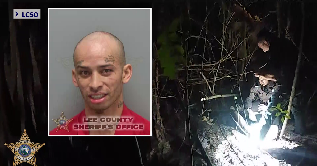 San Carlos Park car theft leads to high-speed chase and arrest | Lee County