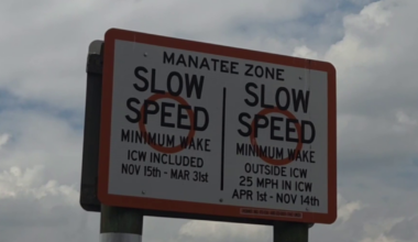 Missing signs in Fort Myers Beach spark concern for manatee safety | Lee County