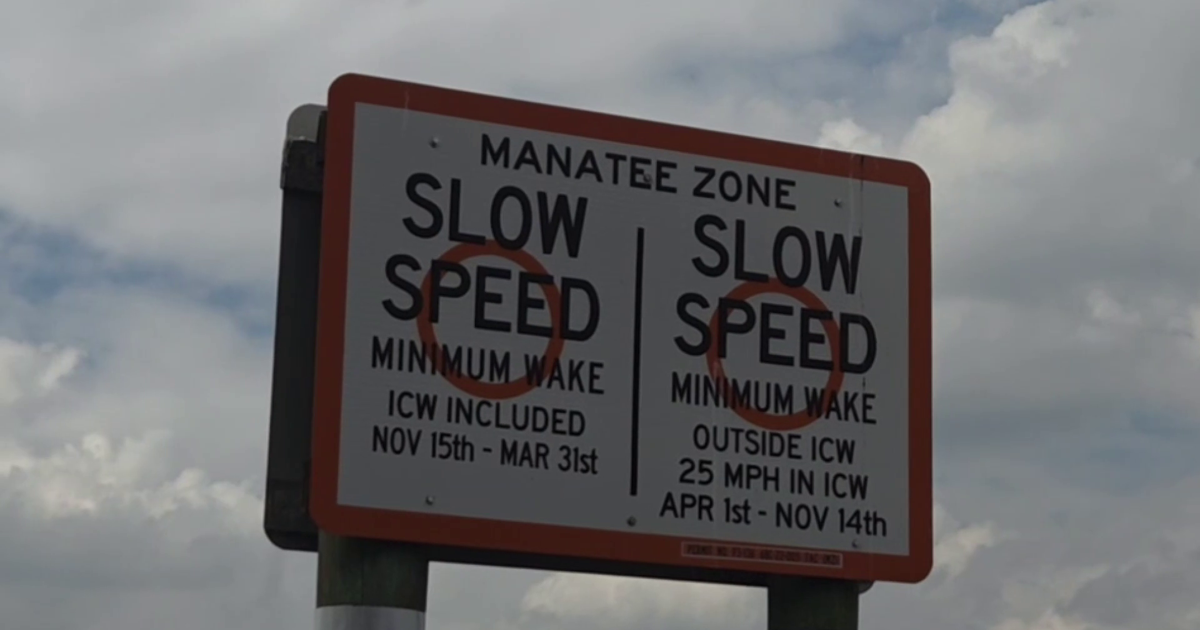 Missing signs in Fort Myers Beach spark concern for manatee safety | Lee County