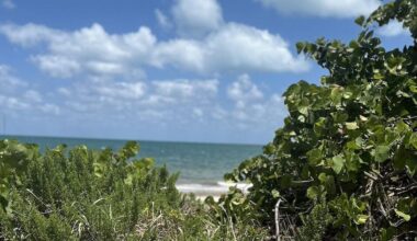 Warm and breezy Friday on Key Biscayne | Key Biscayne
