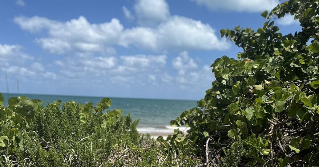 Warm and breezy Friday on Key Biscayne | Key Biscayne