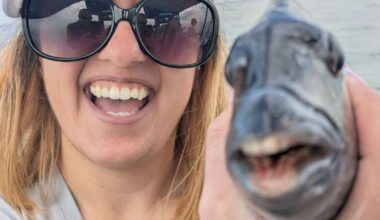 The Tampa Bay Fishin’ Report: Warmer weather has fish fired up | Sports