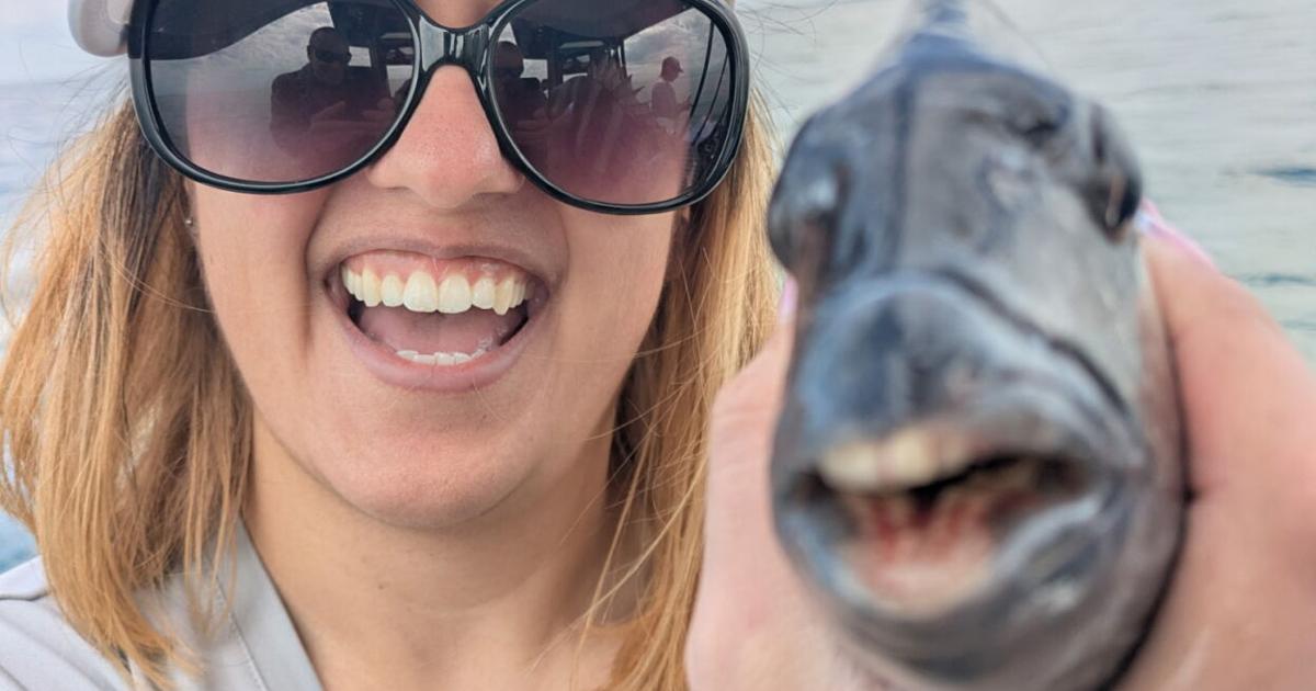 The Tampa Bay Fishin’ Report: Warmer weather has fish fired up | Sports