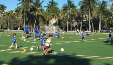 Swale enforcement, homeowners tax update and park fees on Key Biscayne council agenda | Key Biscayne