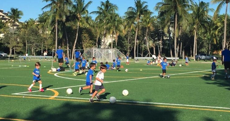 Swale enforcement, homeowners tax update and park fees on Key Biscayne council agenda | Key Biscayne