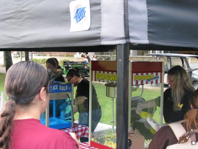 Knights of the Round Table 'karnival'  - 8