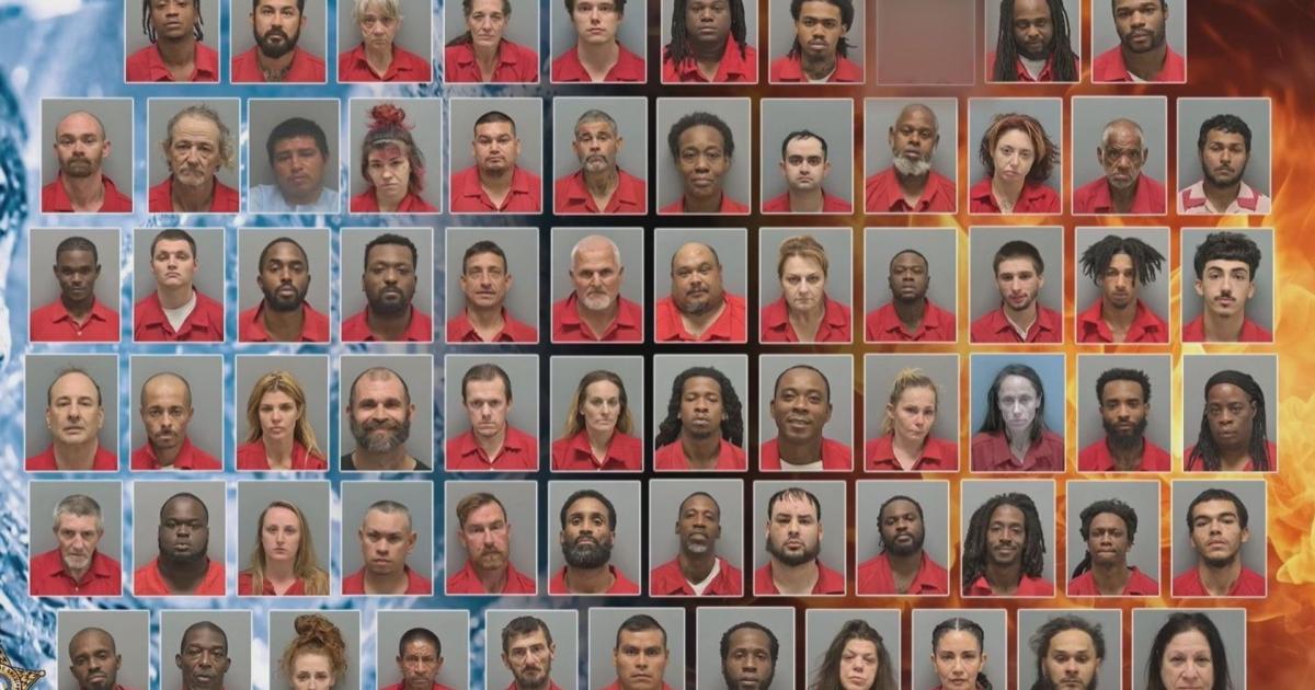 Lee County Sheriff's Office arrests 70, seizes narcotics in 'Operation Thaw and Order' | Lee County