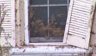 Gator Circle hit-and-run leaves Cape Coral woman worried about speeding | Lee County