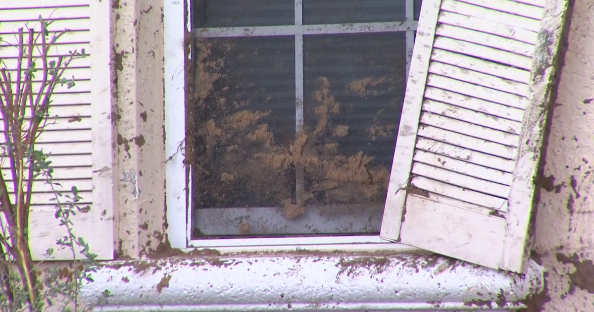 Gator Circle hit-and-run leaves Cape Coral woman worried about speeding | Lee County