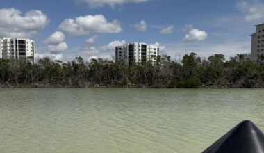 Study links Buccaneer Lagoon fish deaths to fertilizer run-off | Lee County