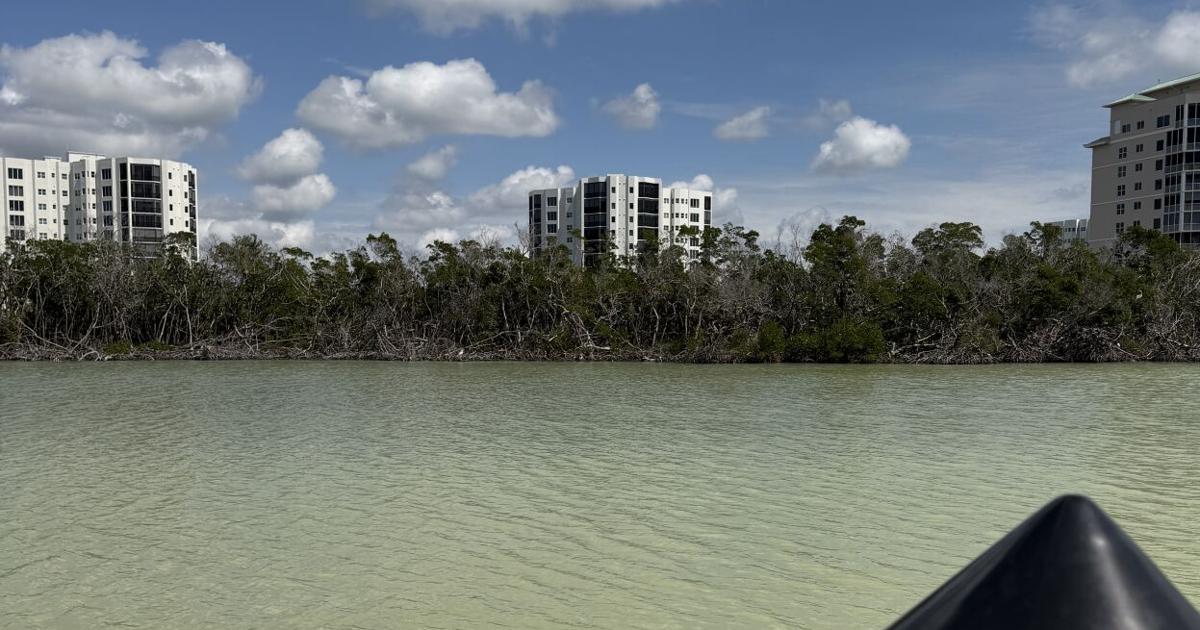 Study links Buccaneer Lagoon fish deaths to fertilizer run-off | Lee County
