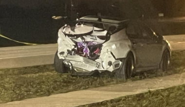 Woman charged with DUI manslaughter, causing canal crash | Lee County