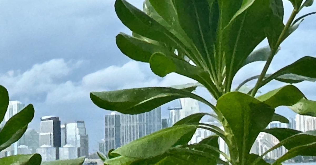 Key Biscayne’s Saturday forecast | Key Biscayne