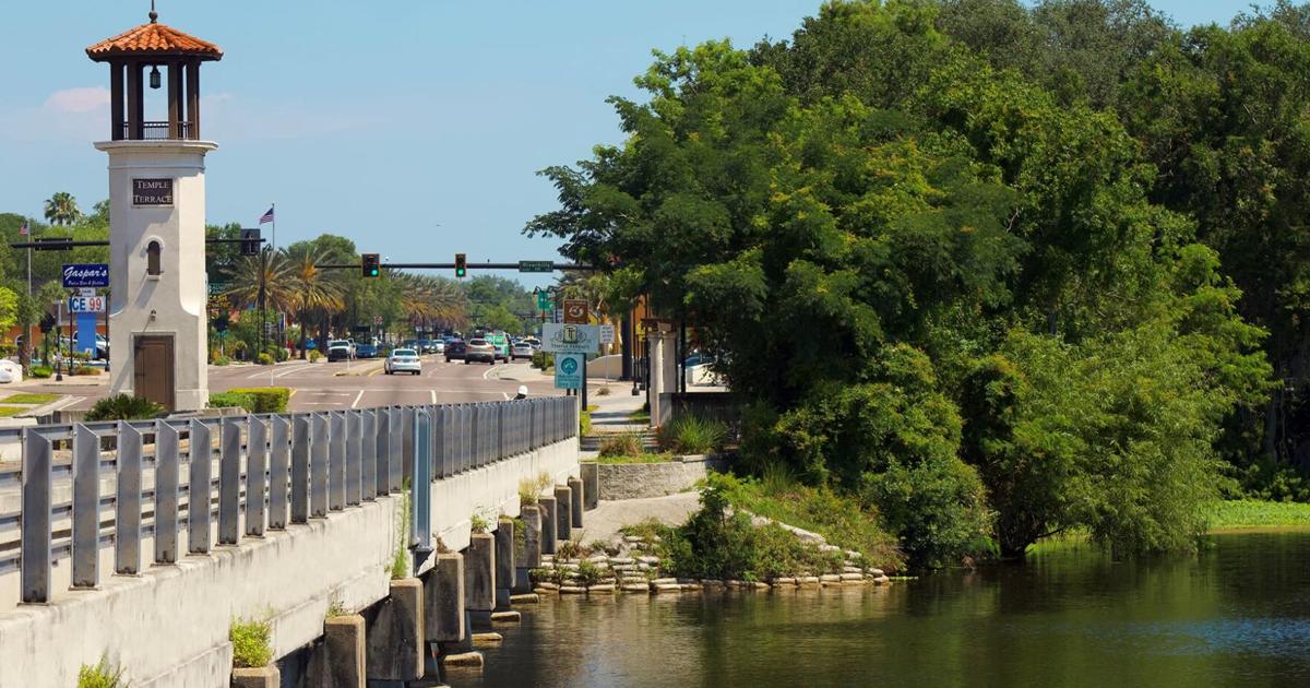 Temple Terrace weighs bike-pedestrian plan, though the price tag is steep | News