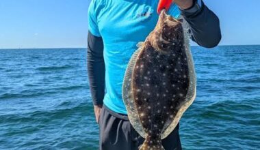 The Tampa Bay Fishin’ Report: Warmer bay water fires up snook bite | Sports