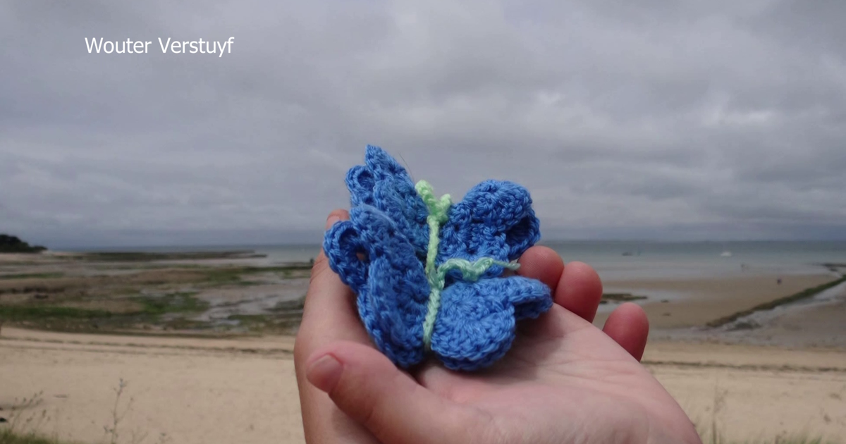 Cape Coral couple finds butterfly tribute to twins on Anna Maria Island | Lee County