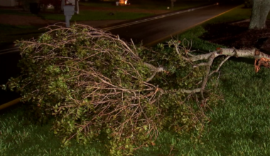 Canterbury School in Lee closed Tuesday due to storm damage | Lee County