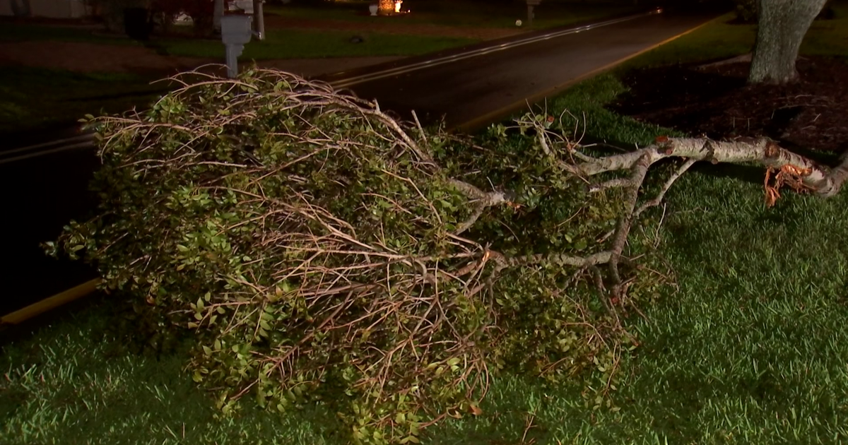 Canterbury School in Lee closed Tuesday due to storm damage | Lee County
