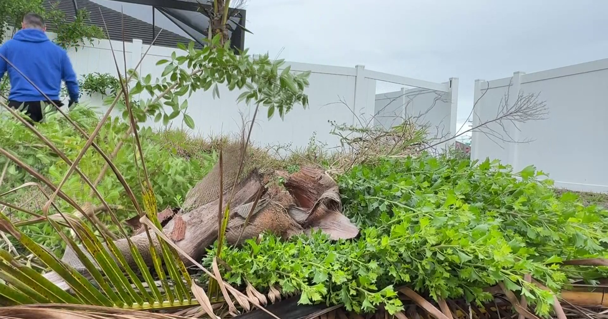 Strong winds leave Cape Coral residents cleaning up storm damage | Lee County
