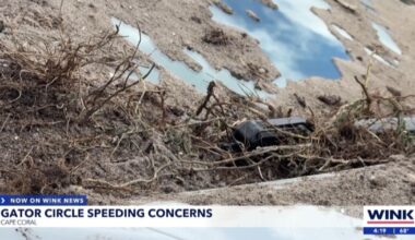 Cape Coral residents demand action after 2 crashes on Gator Circle East |