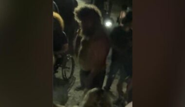 CCPD needs info about Yucca Preserve incident Sunday | Lee County