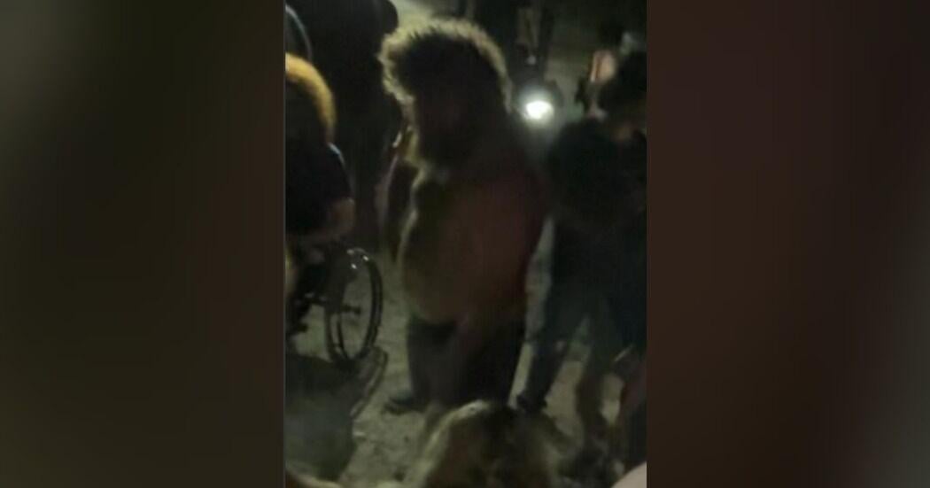 CCPD needs info about Yucca Preserve incident Sunday | Lee County