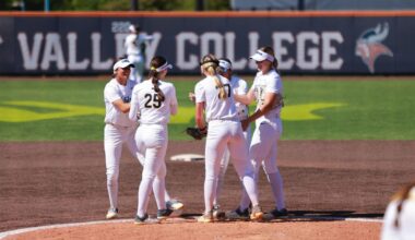 Cal softball heads East to Tallahassee to face off against No. 10 Florida State | Softball