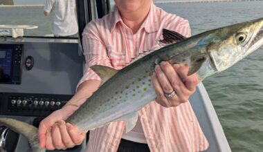 The Tampa Bay Fishin’ Report: Already good bite only to get better | Sports
