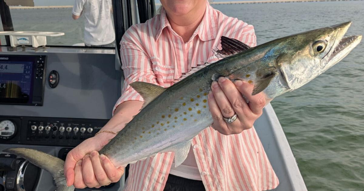 The Tampa Bay Fishin’ Report: Already good bite only to get better | Sports