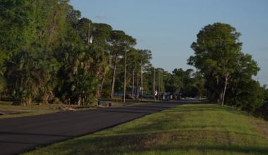 North Fort Myers disturbance call leads to child neglect charges | Lee County
