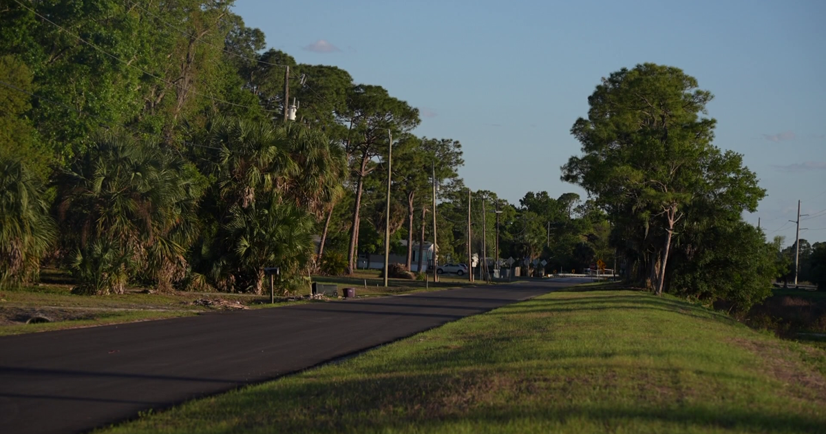 North Fort Myers disturbance call leads to child neglect charges | Lee County