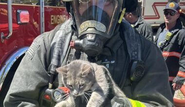 Oleander Boulevard apartment fire under investigation | St. Lucie County