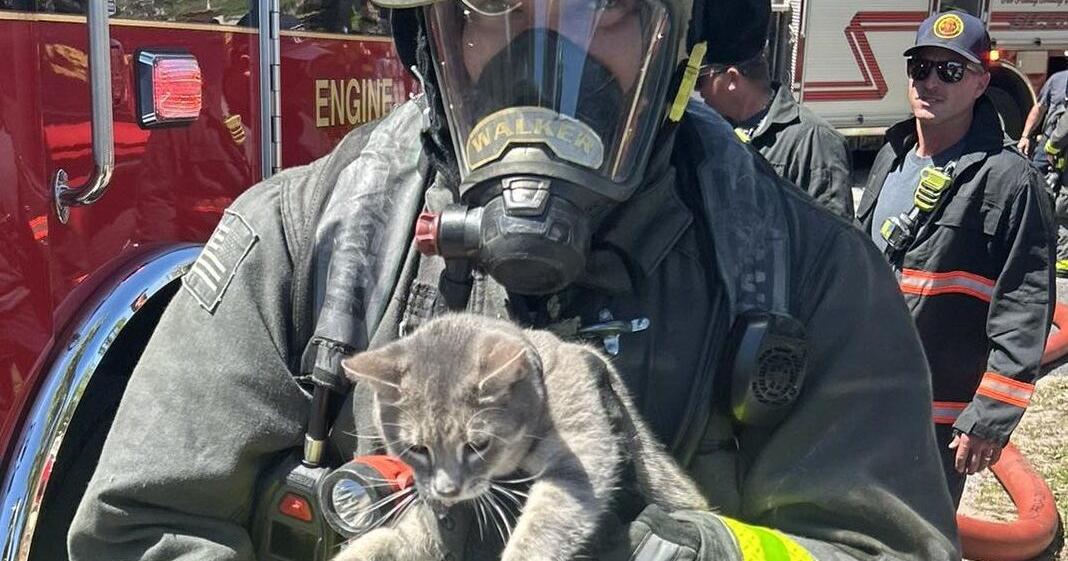 Oleander Boulevard apartment fire under investigation | St. Lucie County