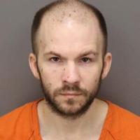 St. Petersburg man charged with beating Chihuahua to death | Crime, Crashes and Fires