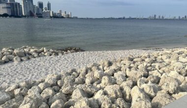 Sunny Tuesday on Key Biscayne | Key Biscayne