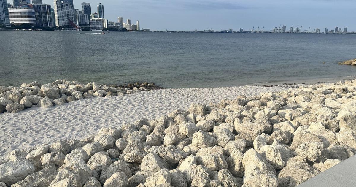 Sunny Tuesday on Key Biscayne | Key Biscayne