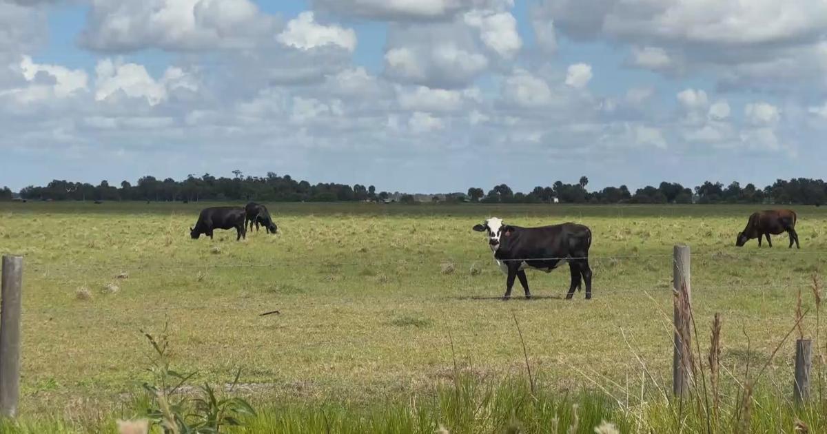 Charlotte County neighbors see hope in Florida Farm Bill | Charlotte County