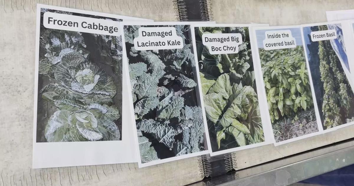 Southwest Florida farmers urged to apply for USDA relief | State