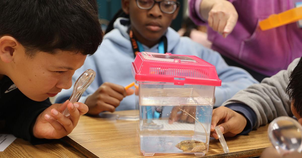 From Shells to Science | Museums