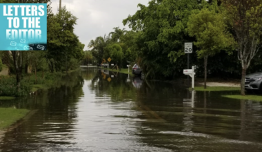 Who should decide? | Letters to the Editor