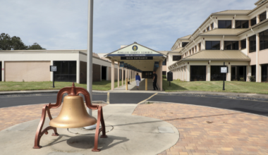 Pinellas family sues school district over dog bite at baseball game | News