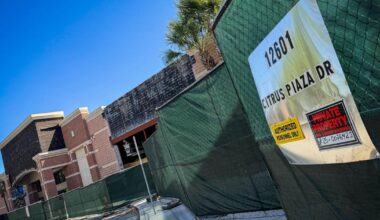 Three new stores headed to Citrus Park Plaza | News